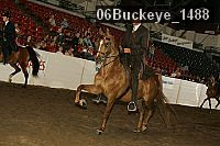 06buckeye_1488 thumbnail