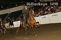 06buckeye_1490 thumbnail