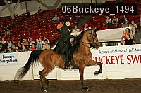 06buckeye_1494 thumbnail