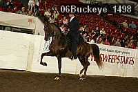 06buckeye_1498 thumbnail