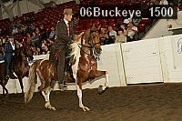 06buckeye_1500 thumbnail