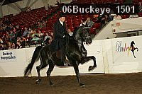 06buckeye_1501 thumbnail