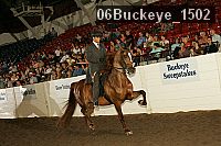 06buckeye_1502 thumbnail