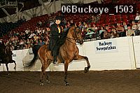 06buckeye_1503 thumbnail