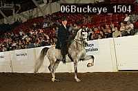 06buckeye_1504 thumbnail