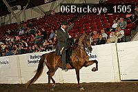 06buckeye_1505 thumbnail