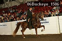 06buckeye_1506 thumbnail