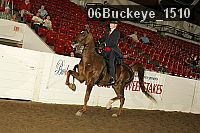 06buckeye_1510 thumbnail