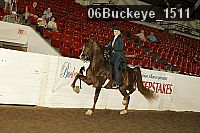 06buckeye_1511 thumbnail