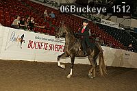 06buckeye_1512 thumbnail