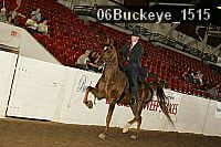 06buckeye_1515 thumbnail