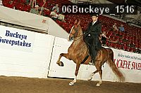 06buckeye_1516 thumbnail