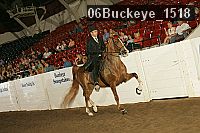 06buckeye_1518 thumbnail