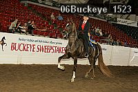 06buckeye_1523 thumbnail