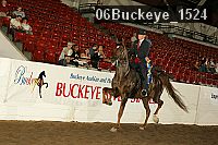 06buckeye_1524 thumbnail