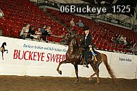 06buckeye_1525 thumbnail