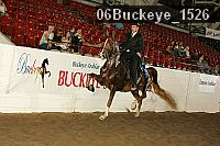 06buckeye_1526 thumbnail