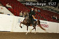 06buckeye_1527 thumbnail