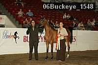 06buckeye_1548 thumbnail