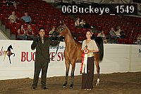 06buckeye_1549 thumbnail