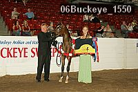 06buckeye_1550 thumbnail