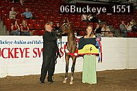 06buckeye_1551 thumbnail