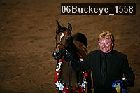 06buckeye_1558 thumbnail