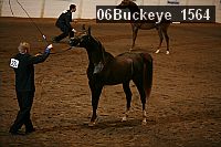 06buckeye_1564 thumbnail