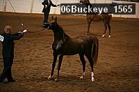 06buckeye_1565 thumbnail