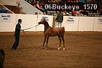 06buckeye_1570 thumbnail