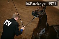 06buckeye_1573 thumbnail