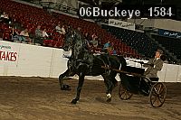 06buckeye_1584 thumbnail