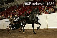 06buckeye_1585 thumbnail