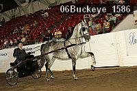 06buckeye_1586 thumbnail