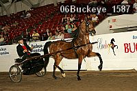 06buckeye_1587 thumbnail