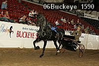 06buckeye_1590 thumbnail