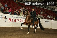 06buckeye_1595 thumbnail