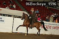 06buckeye_1596 thumbnail