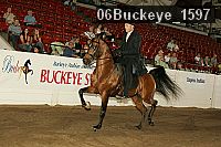 06buckeye_1597 thumbnail