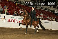 06buckeye_1600 thumbnail