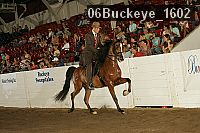 06buckeye_1602 thumbnail