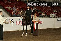 06buckeye_1603 thumbnail