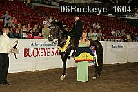 06buckeye_1604 thumbnail