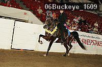 06buckeye_1609 thumbnail