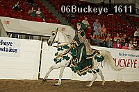 06buckeye_1611 thumbnail