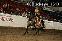 06buckeye_1613 thumbnail