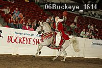 06buckeye_1614 thumbnail