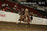 06buckeye_1615 thumbnail