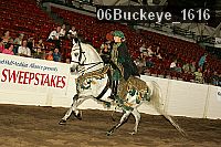 06buckeye_1616 thumbnail