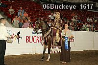 06buckeye_1617 thumbnail